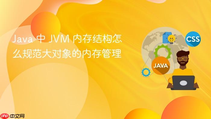 java 中 jvm 内存结构怎么规范大对象的内存管理