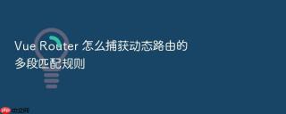 Vue Router 怎么捕获动态路由的多段匹配规则