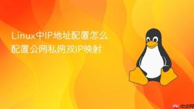 Linux中IP地址配置怎么配置公网私网双IP映射