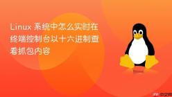Linux 系统中怎么实时在终端控制台以十六进制查看抓包内容