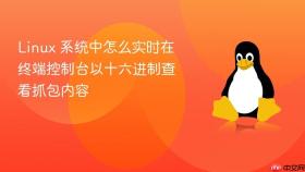 linux 系统中怎么实时在终端控制台以十六进制查看抓包内容