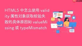 HTML5 中怎么使用 validity 属性对象获取校验失败的具体原因如 valueMissing 或 typeMismatch