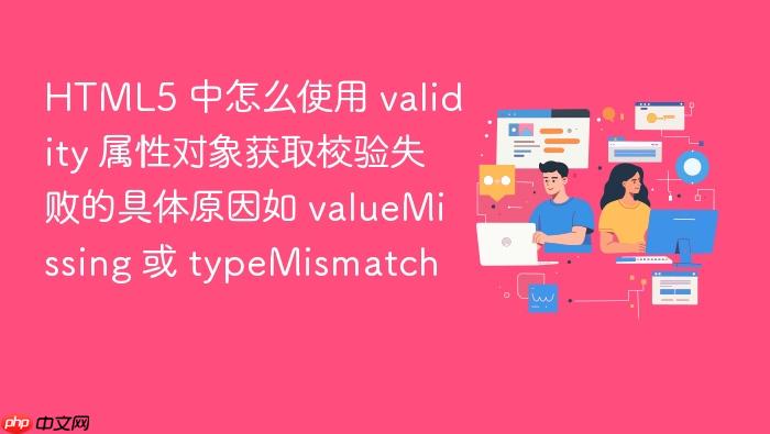 html5 中怎么使用 validity 属性对象获取校验失败的具体原因如 valuemissing 或 typemismatch