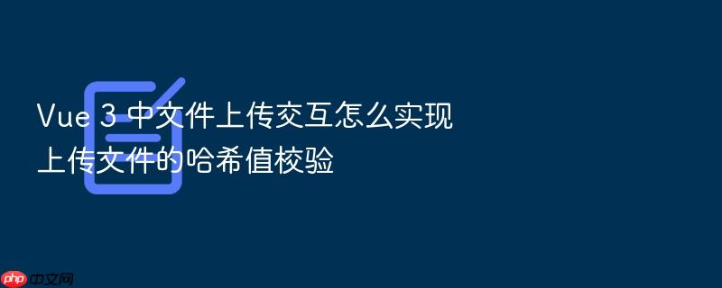 vue 3 中文件上传交互怎么实现上传文件的哈希值校验