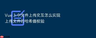 vue 3 中文件上传交互怎么实现上传文件的哈希值校验