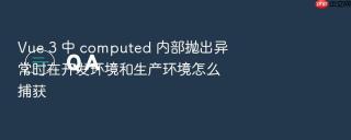 Vue 3 中 computed 内部抛出异常时在开发环境和生产环境怎么捕获