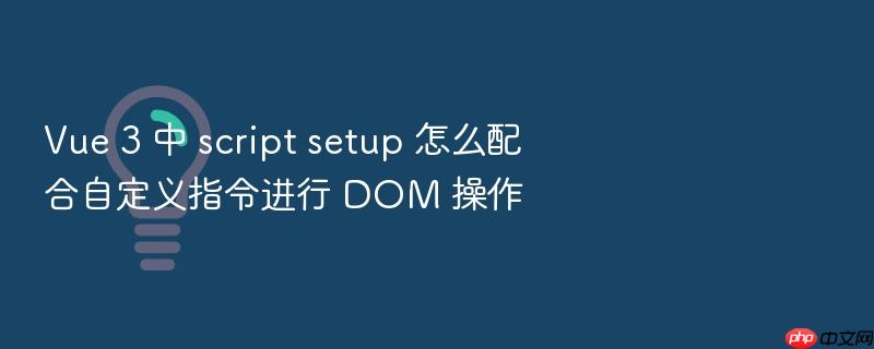 vue 3 中 script setup 怎么配合自定义指令进行 dom 操作