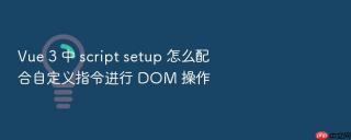 vue 3 中 script setup 怎么配合自定义指令进行 dom 操作