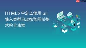 HTML5 中怎么使用 url 输入类型自动校验网址格式的合法性