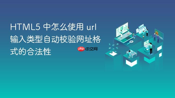 html5 中怎么使用 url 输入类型自动校验网址格式的合法性