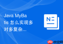 Java MyBatis 怎么实现多对多复杂关联关系的数据映射