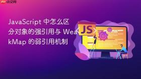 javascript 中怎么区分对象的强引用与 weakmap 的弱引用机制