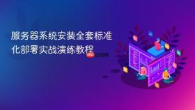服务器系统安装全套标准化部署实战演练教程