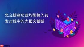怎么排查负载均衡接入转发过程中的大报文截断