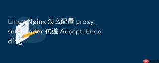 linux nginx 怎么配置 proxy_set_header 传递 accept-encoding