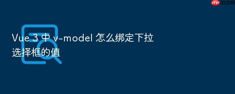 vue 3 中 v-model 怎么绑定下拉选择框的值