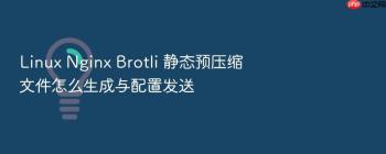 Linux Nginx Brotli 静态预压缩文件怎么生成与配置发送