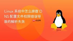 Linux 系统中怎么排查 DNS 配置文件权限错误导致的解析失效