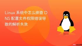linux 系统中怎么排查 dns 配置文件权限错误导致的解析失效