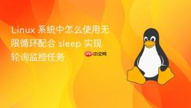 Linux 系统中怎么使用无限循环配合 sleep 实现轮询监控任务