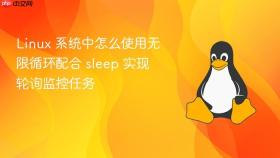 linux 系统中怎么使用无限循环配合 sleep 实现轮询监控任务