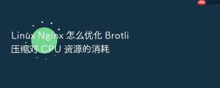 Linux Nginx 怎么优化 Brotli 压缩对 CPU 资源的消耗