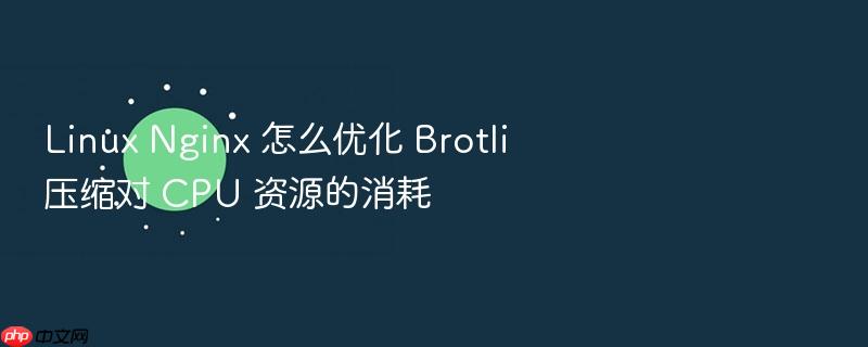 linux nginx 怎么优化 brotli 压缩对 cpu 资源的消耗