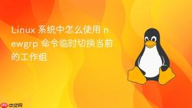 linux 系统中怎么使用 newgrp 命令临时切换当前的工作组