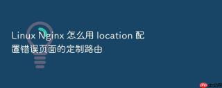 linux nginx 怎么用 location 配置错误页面的定制路由