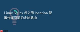Linux Nginx 怎么用 location 配置错误页面的定制路由