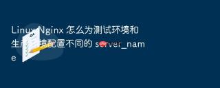 Linux Nginx 怎么为测试环境和生产环境配置不同的 server_name