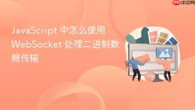 javascript 中怎么使用 websocket 处理二进制数据传输