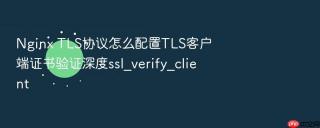 nginx tls协议怎么配置tls客户端证书验证深度ssl_verify_client