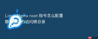 linux nginx root 指令怎么配置静态资源的访问根目录