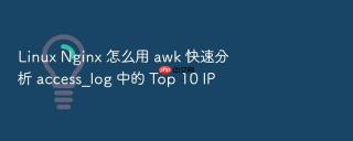 Linux Nginx 怎么用 awk 快速分析 access_log 中的 Top 10 IP