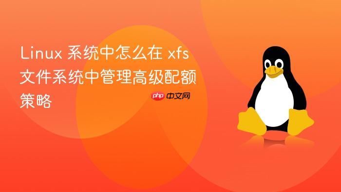 linux 系统中怎么在 xfs 文件系统中管理高级配额策略