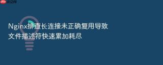 Nginx排查长连接未正确复用导致文件描述符快速累加耗尽