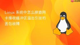 linux 系统中怎么排查网卡接收缓冲区溢出引发的丢包故障