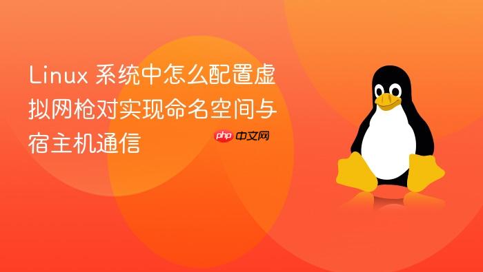 linux 系统中怎么配置虚拟网枪对实现命名空间与宿主机通信