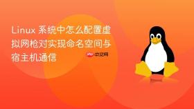 linux 系统中怎么配置虚拟网枪对实现命名空间与宿主机通信