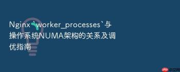Nginx `worker_processes`与操作系统NUMA架构的关系及调优指南
