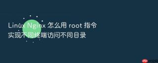 Linux Nginx 怎么用 root 指令实现不同终端访问不同目录