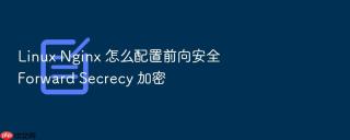 Linux Nginx 怎么配置前向安全 Forward Secrecy 加密