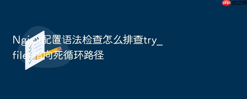 nginx配置语法检查怎么排查try_files指向死循环路径