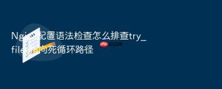 Nginx配置语法检查怎么排查try_files指向死循环路径