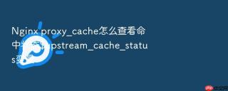 Nginx proxy_cache怎么查看命中状态$upstream_cache_status变量
