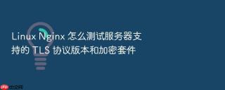 linux nginx 怎么测试服务器支持的 tls 协议版本和加密套件