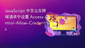 JavaScript 中怎么在跨域请求中设置 Access-Control-Allow-Credentials