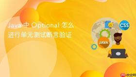 java 中 optional 怎么进行单元测试断言验证