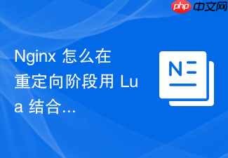 nginx 怎么在重定向阶段用 lua 结合数据库实现短链接重定向